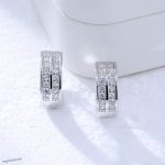 Hypoallergenic Moissanite Earrings