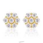 Differences Between Moissanite and Diamond